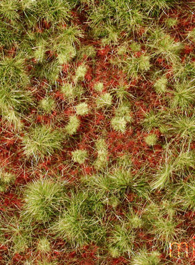 现货 Mininatur Overgrown forest floor early fall 741-33S 草