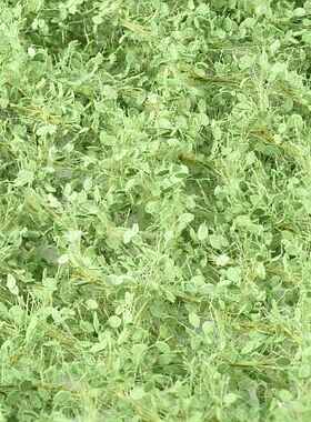现货 Mininatur Lime Leaves Summer 942-32S 1:45, 1:32 草簇