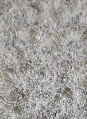 现货 Mininatur Karst tufts winter 737-36S 737-36MS 草簇 植株