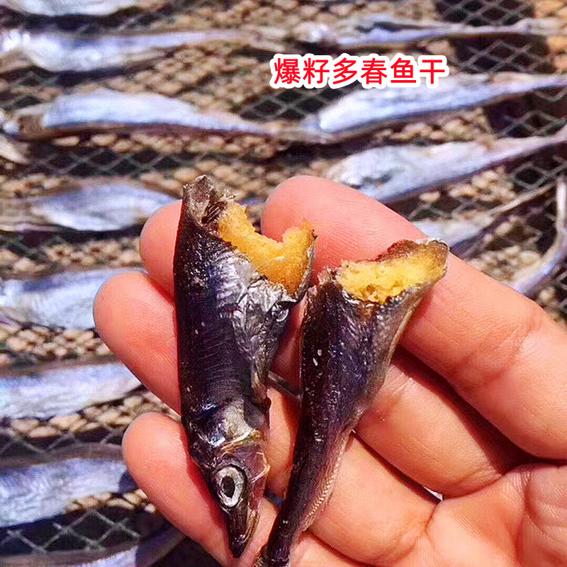 海陵岛多春鱼干爆籽好吃一斤装