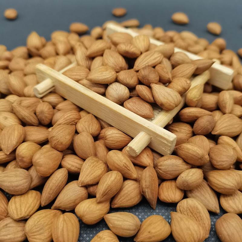 新款 承德生熟大杏仁甜南生杏仁生的新鲜原味杏仁坚果零食散装杏