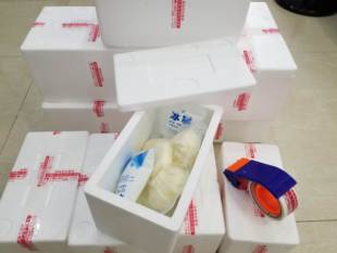 扬州早茶 三鲜菜包 高邮特色大包子 新鲜5只一袋  酒楼现做