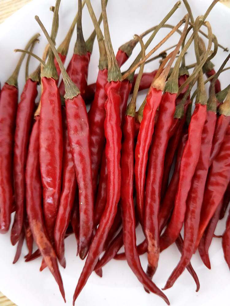 【丘北辣椒干】云南特产干辣子红辣椒500g调味散装香辣