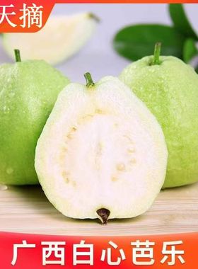 广西番石榴1-10斤包邮白芯珍珠芭乐农家果园现摘现发热带新鲜水果