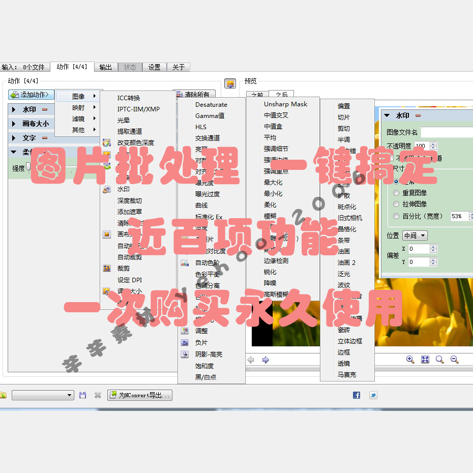 图片批量处理软件 加水印/加特效/PS批处理工具Win/Mac版本 商务/设计服务 商务服务 原图主图
