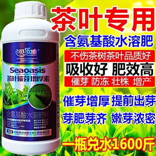 茶叶催芽叶面肥茶叶催芽增厚素提前出芽芽多防冻增产氨基酸水溶肥