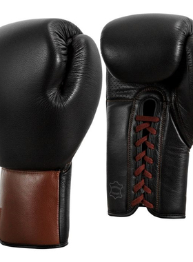 TITLE Boxing Honorary 复古真皮拳击训练手套 拳击格斗拳套