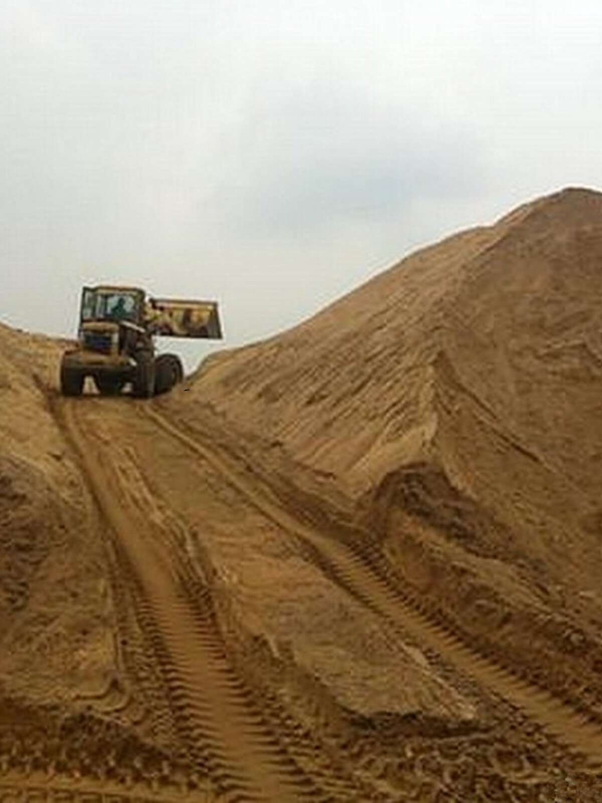 Graded selection of natural river sand, succulent mixed with soil, sandy soil, fish tank bottom sand, turtle hibernation sand, loose yellow sand
