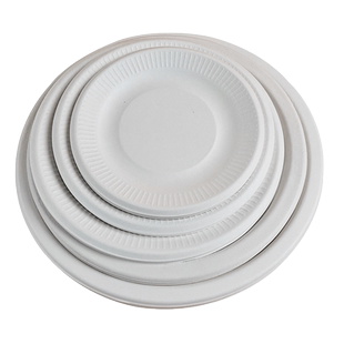 一次性白色纸盘制作手工幼儿园儿童diy美术材料圆形蛋糕绘画纸盘子8寸大纸盘画画生日批发7寸8寸9寸10寸