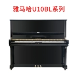 Шесть лет -Магазин Три цвета Шанхайской аренды пианино пианино второй второй прокат пианино Yamaha