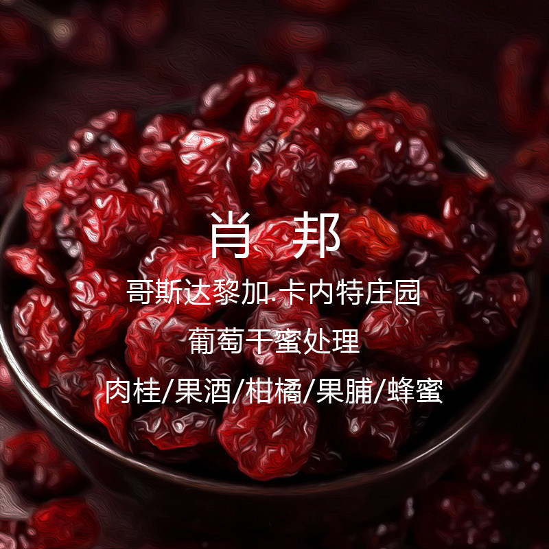 暖码头肖邦哥斯达黎加厌氧葡萄干蜜处理咖啡豆手冲单品浅烘焙200G
