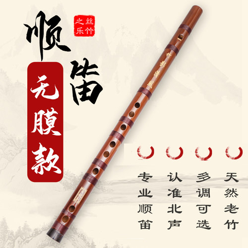 顺笛竖笛6孔f调g调初学入门无膜