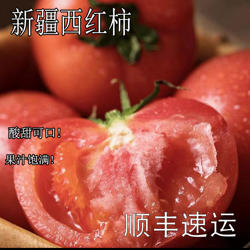 xinjpuluowangsi新疆番茄