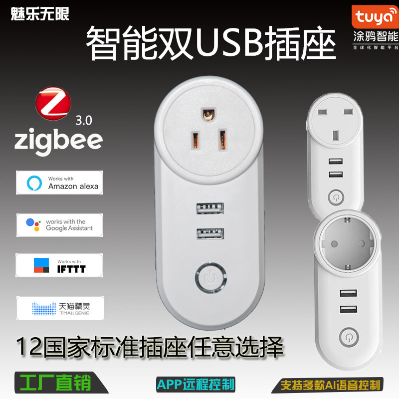 新品智能插座ZigBee双USB插座Alexa语音控制定时双控开关涂鸦智能