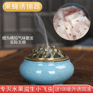 去除驱赶果蝇诱捕器灭杀小飞虫苍蝇神器专用药盒子水果店陷阱室内