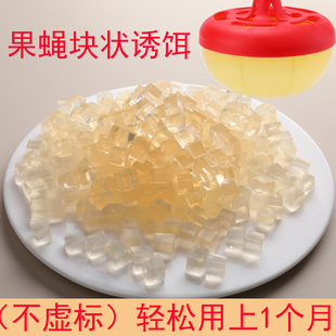 去除果蝇果冻丁诱饵杀虫剂克星灭蚤蝇引诱剂专用药小飞虫灭杀神器