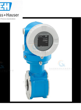 电磁流量计冷热量计能量计E+H恩德斯豪斯Proline Promag5DBB 5P3B