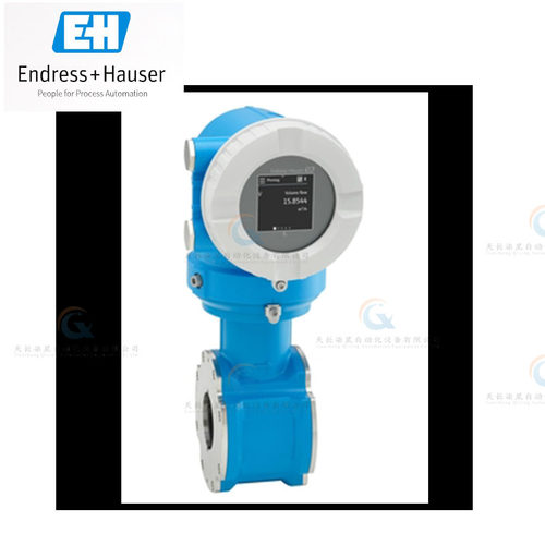 电磁流量计冷热量计能量计E+H恩德斯豪斯Proline Promag5DBB 5P3B