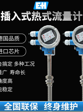 E+H恩德斯豪斯热式气体质量流量计65I20/30/40压缩空气 沼气蒸汽