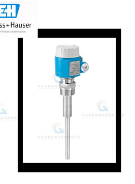 FTM51 FTM20 FTM50 FTM21 FTM52 FTL80 FTL81 FTL85 音叉开关 E+H