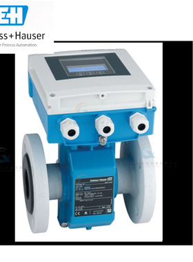 电磁流量计冷热量计能量计E+H恩德斯豪斯Proline Promag5W4C 5WBB