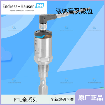 Endress+Hauser卫生型音叉液位开