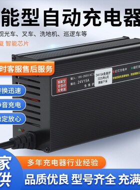 电动清洁洗地机扫地机12V10A25A24V15A20A36V电动叉车智能充电器