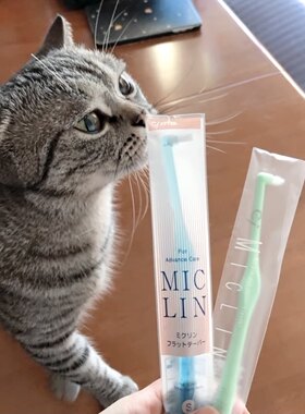 日本Ci-Miclin宠物猫咪牙刷狗牙刷 尖头小头软毛正畸除臭除牙结石