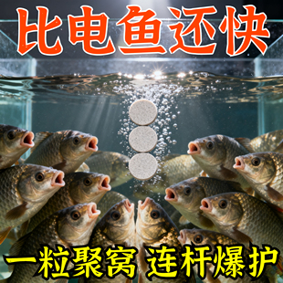 打窝增氧片水产增氧颗粒增氧片鱼池塘野钓增氧片垂钓鱼长效增氧剂