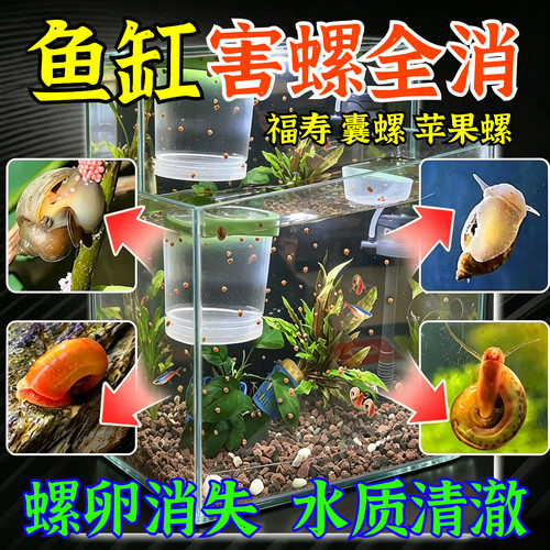 鱼缸除螺剂专用灭螺鱼安鱼缸去螺清理蜗牛水蛭涡虫囊苹果螺