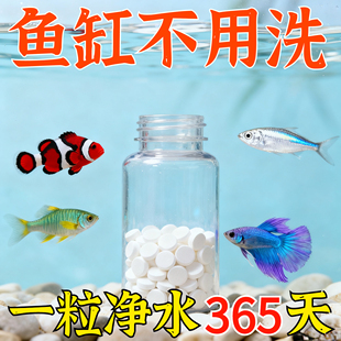 鱼缸除腥臭片分解鱼粪去臭味净化水质除异味硝化细菌养水净水浑浊