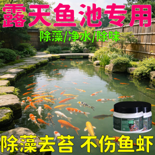 室外鱼池专用除藻去苔剂鱼缸神器绿藻青苔清露天池除绿水除藻粉
