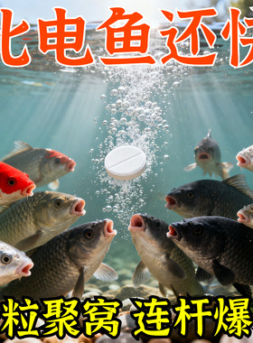 打窝增氧片水产增氧颗粒增氧片鱼池塘野钓增氧片垂钓鱼长效增氧剂