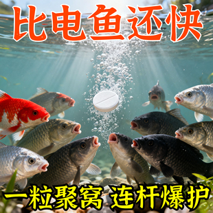 打窝增氧片水产增氧颗粒增氧片鱼池塘野钓增氧片垂钓鱼长效增氧剂