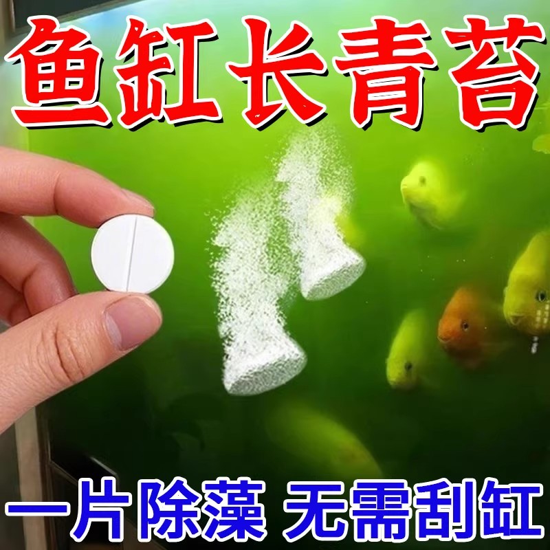 鱼缸除藻片去苔剂强效鱼缸壁清除绿藻褐丝藻黑毛藻神器青苔净水片