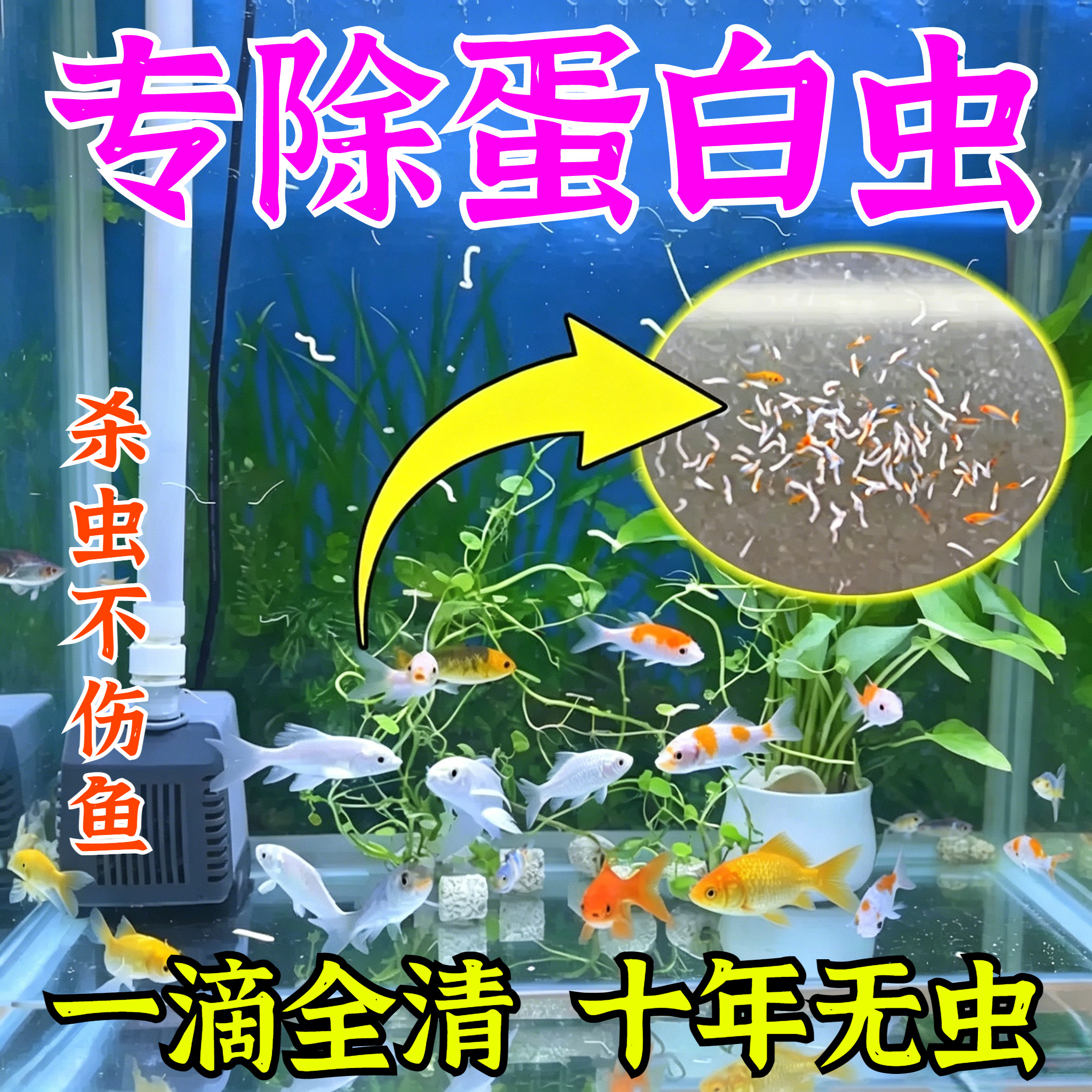 鱼缸除蛋白虫清除剂龟草缸驱除剂神器涡虫观赏鱼去线虫肠虫剂