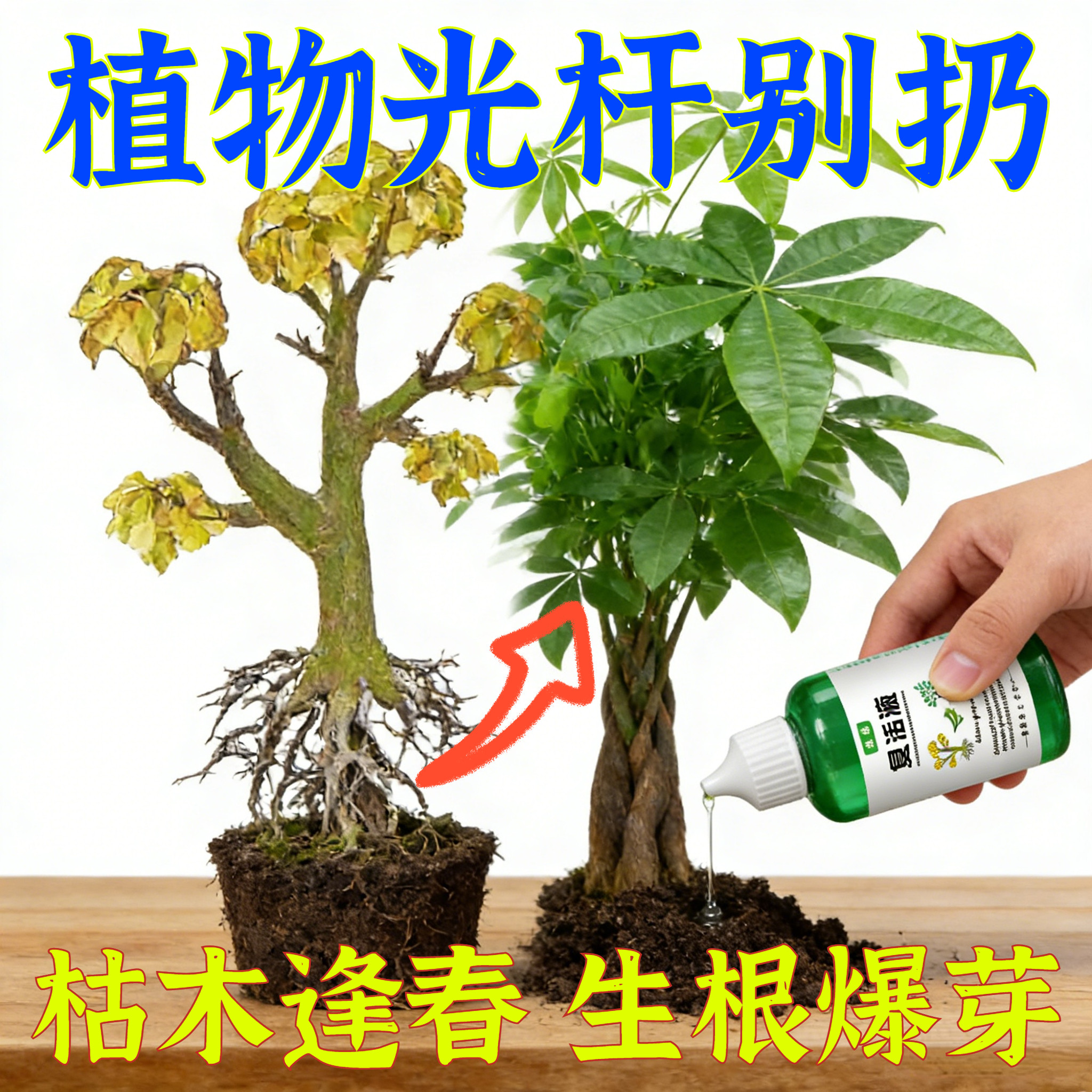黑科技复活液针对发黄掉叶植物复活液园丁复活液花卉复活液,鲜花速递/花卉仿真/绿植园艺,家庭园艺肥料,淘宝优惠券,粉丝福利购,淘宝优惠卷
