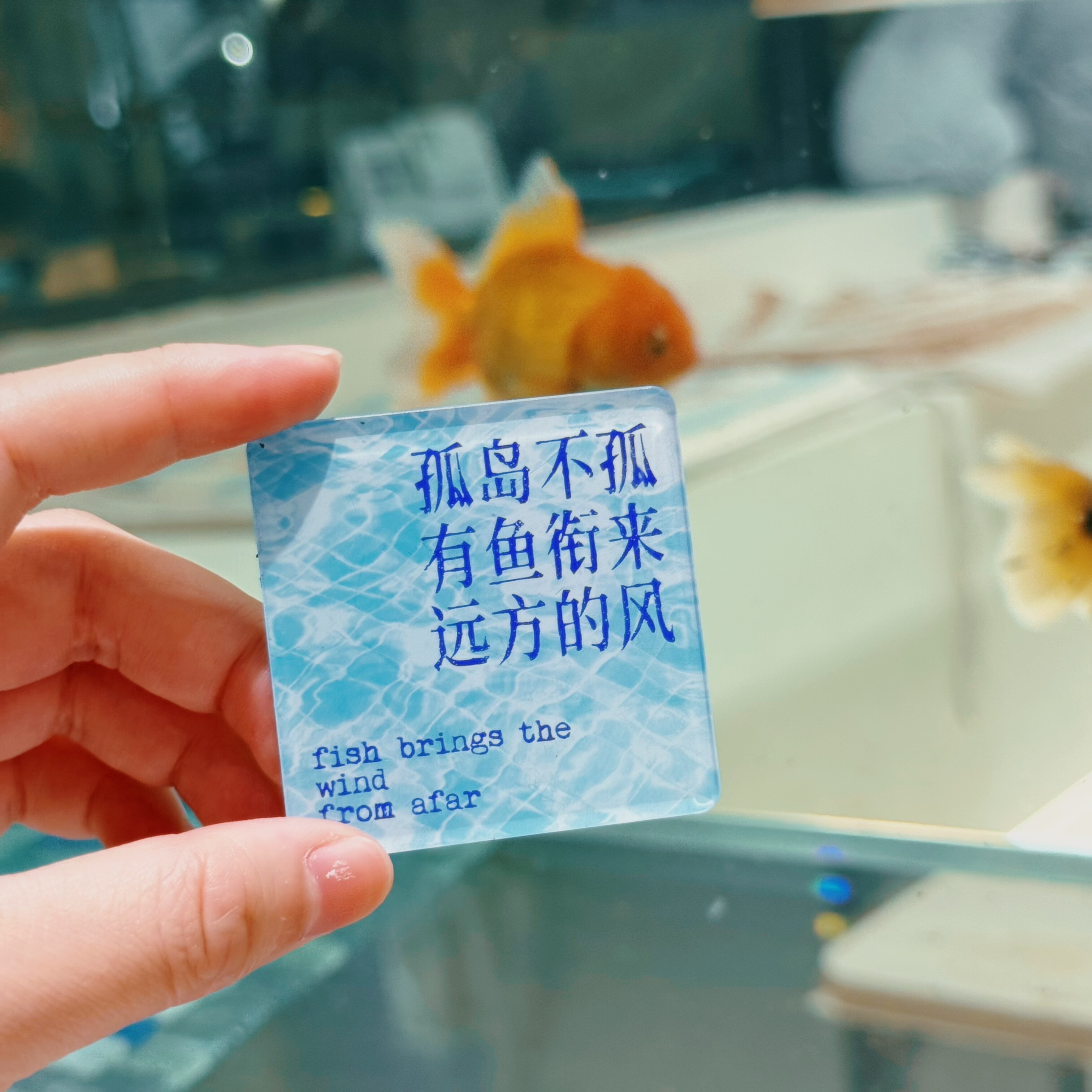 屿鱼文创原创设计治愈系艺术冰箱贴亚克力透明文艺磁吸生日礼物