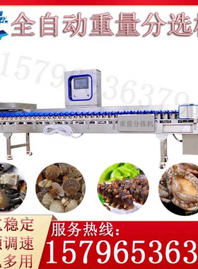 全自动重量分选机 海产品称重分选机扇贝海参重量分拣机 海豪机械
