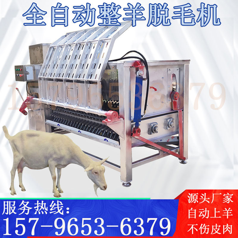 整猪脱毛机器屠宰脱毛机刨毛机刮猪毛羊牛毛全自动去毛机干净高效
