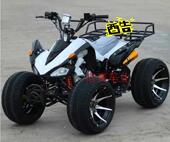 Roller Hot Wheel - Ref 2570676 Image 12