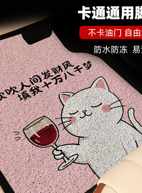 汽车脚垫女生丝圈2025新款通用车垫防脏地垫卡通车内主驾驶脚踩垫
