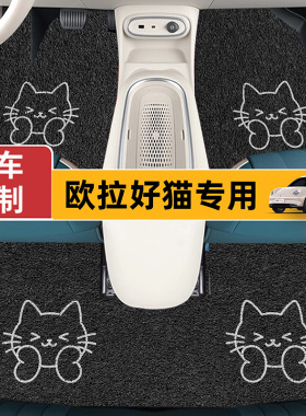 汽车脚垫专用欧拉好猫闪电猫芭蕾猫黑猫R1白猫地垫防滑脚踏垫