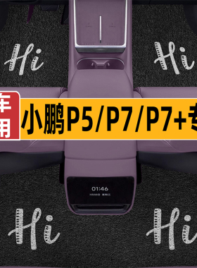 适用于小鹏P5P7P7+专车专用汽车脚垫 卡通丝圈脚踏垫防滑加厚地垫