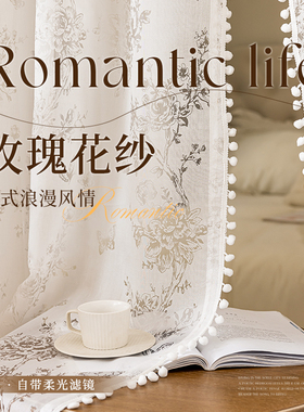 新款纱帘免打孔法式玫瑰花纱月光白镂空纱影飘窗门帘卧室纱帘隔断