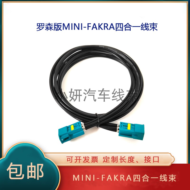 Mini-FAKRAAMS22D-40MZ5-Y视频线