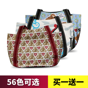 ILEA品牌日韩新款女士复古单肩斜跨包休闲帆布包手提女包