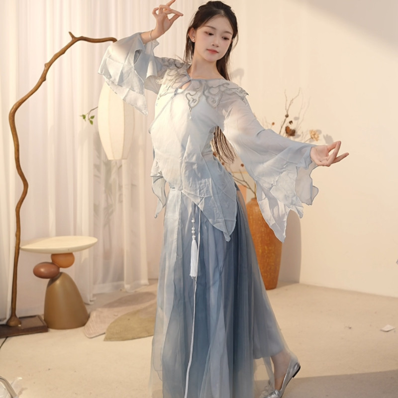 新中式古典舞服女飘逸雪纺长裙仙气中国风舞蹈练功服