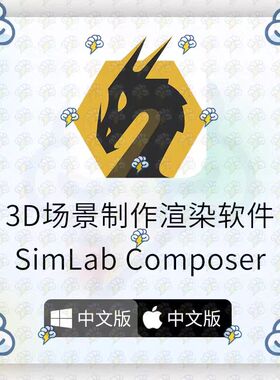 SimLab Composer8.0/8.29/19.2/10.2/10.6/10.8/12.1远程安装服务