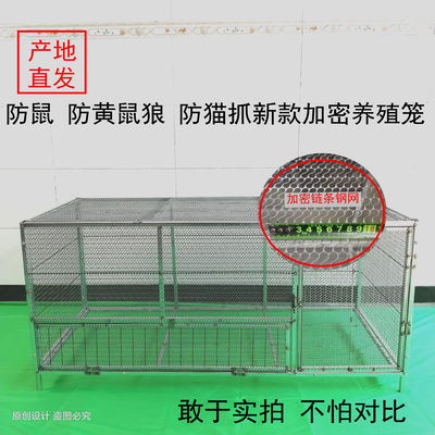 防黄鼠狼鸡笼子家用雏鸡芦丁鸡养殖笼链条钢网鸽子笼加密方管兔笼